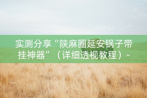 实测分享“陕麻圈延安锅子带挂神器”（详细透视教程）-哔哩哔哩