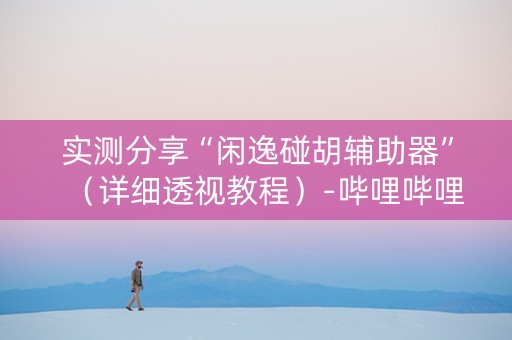 实测分享“闲逸碰胡辅助器”（详细透视教程）-哔哩哔哩