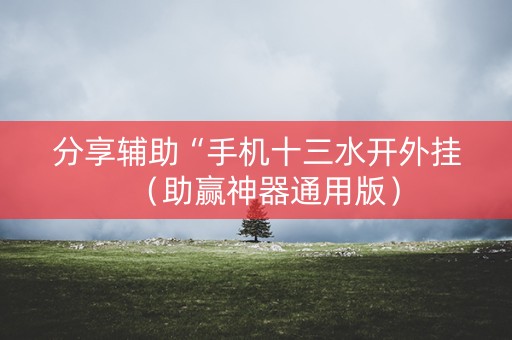 分享辅助“手机十三水开外挂（助赢神器通用版）