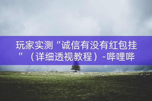 玩家实测“诚信有没有红包挂”（详细透视教程）-哔哩哔哩