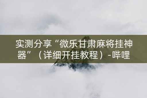 实测分享“微乐甘肃麻将挂神器”（详细开挂教程）-哔哩哔哩