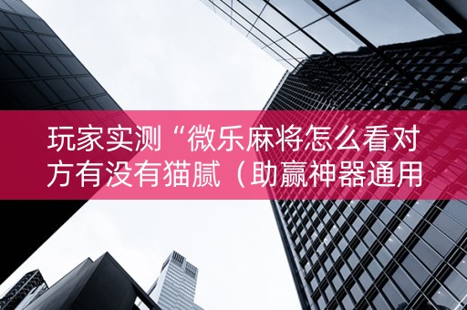 玩家实测“微乐麻将怎么看对方有没有猫腻（助赢神器通用版）