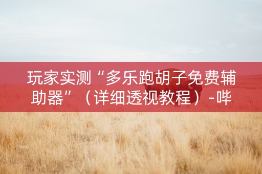 玩家实测“多乐跑胡子免费辅助器”（详细透视教程）-哔哩哔哩
