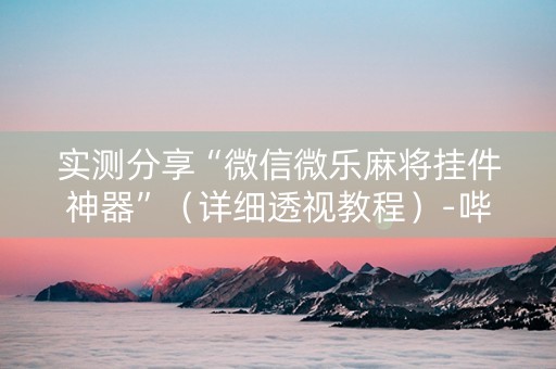 实测分享“微信微乐麻将挂件神器”（详细透视教程）-哔哩哔哩