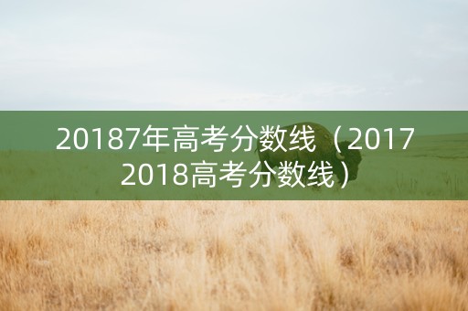 20187年高考分数线（20172018高考分数线）