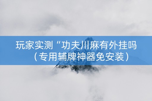 玩家实测“功夫川麻有外挂吗（专用辅牌神器免安装）