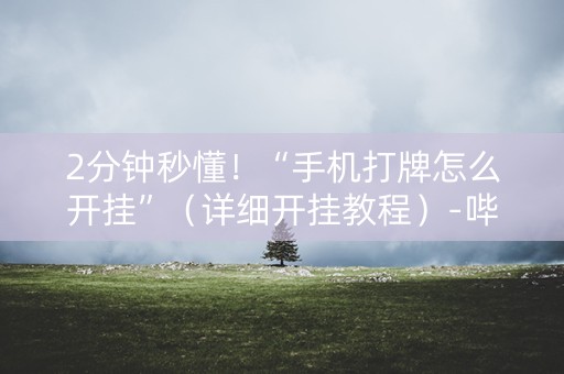 2分钟秒懂！“手机打牌怎么开挂”（详细开挂教程）-哔哩哔哩