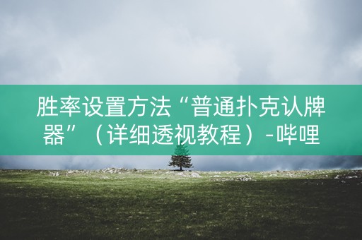 胜率设置方法“普通扑克认牌器”（详细透视教程）-哔哩哔哩