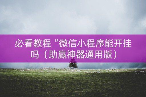 必看教程“微信小程序能开挂吗（助赢神器通用版）
