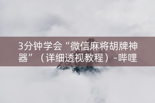 3分钟学会“微信麻将胡牌神器”（详细透视教程）-哔哩哔哩