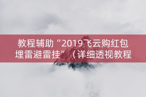 教程辅助“2019飞云购红包埋雷避雷挂”（详细透视教程）-哔哩哔哩