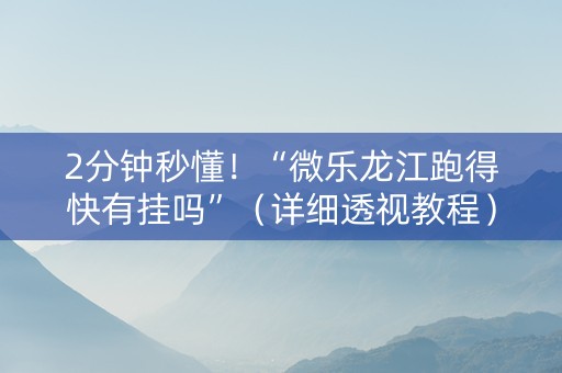 2分钟秒懂！“微乐龙江跑得快有挂吗”（详细透视教程）-哔哩哔哩