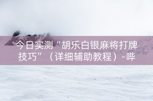 今日实测“胡乐白银麻将打牌技巧”（详细辅助教程）-哔哩哔哩