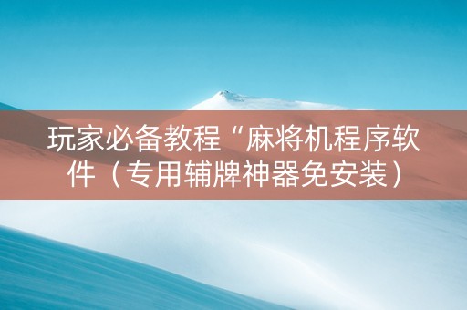 玩家必备教程“麻将机程序软件（专用辅牌神器免安装）