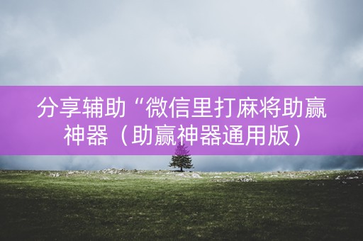 分享辅助“微信里打麻将助赢神器（助赢神器通用版）