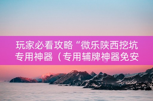 玩家必看攻略“微乐陕西挖坑专用神器（专用辅牌神器免安装）