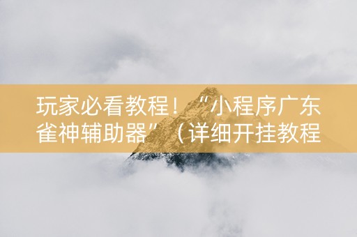 玩家必看教程！“小程序广东雀神辅助器”（详细开挂教程）-哔哩哔哩