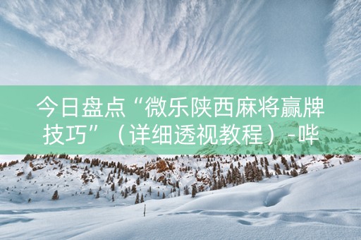 今日盘点“微乐陕西麻将赢牌技巧”（详细透视教程）-哔哩哔哩