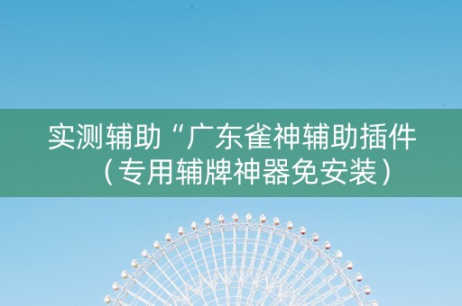 实测辅助“广东雀神辅助插件（专用辅牌神器免安装）
