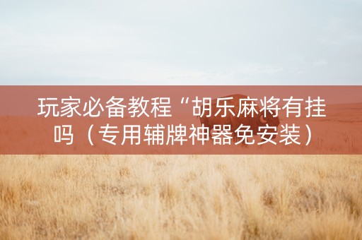 玩家必备教程“胡乐麻将有挂吗（专用辅牌神器免安装）