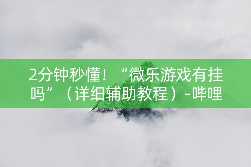 2分钟秒懂！“微乐游戏有挂吗”（详细辅助教程）-哔哩哔哩
