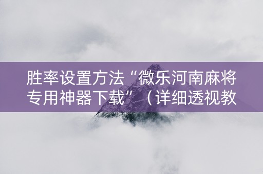 胜率设置方法“微乐河南麻将专用神器下载”（详细透视教程）-哔哩哔哩