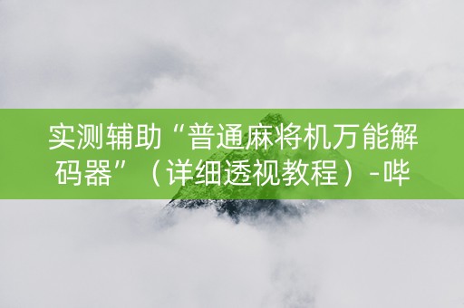 实测辅助“普通麻将机万能解码器”（详细透视教程）-哔哩哔哩