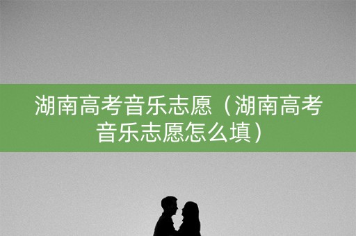湖南高考音乐志愿（湖南高考音乐志愿怎么填）