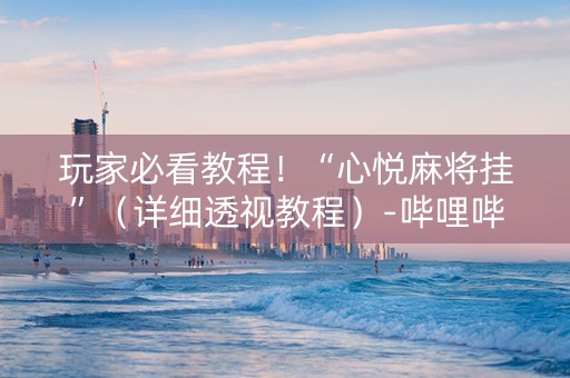玩家必看教程！“心悦麻将挂”（详细透视教程）-哔哩哔哩