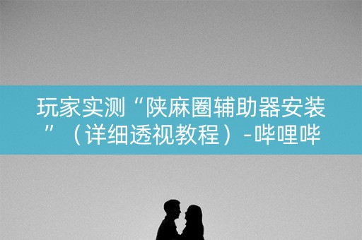 玩家实测“陕麻圈辅助器安装”（详细透视教程）-哔哩哔哩