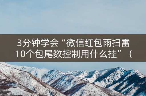 3分钟学会“微信红包雨扫雷10个包尾数控制用什么挂”（详细透视教程）-哔哩哔哩