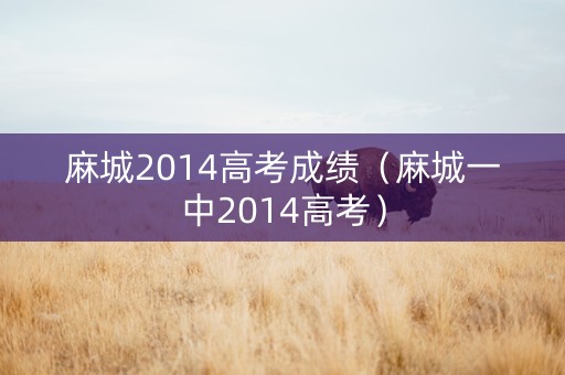 麻城2014高考成绩（麻城一中2014高考）