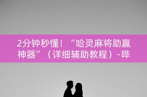 2分钟秒懂！“哈灵麻将助赢神器”（详细辅助教程）-哔哩哔哩