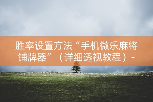 胜率设置方法“手机微乐麻将铺牌器”（详细透视教程）-哔哩哔哩