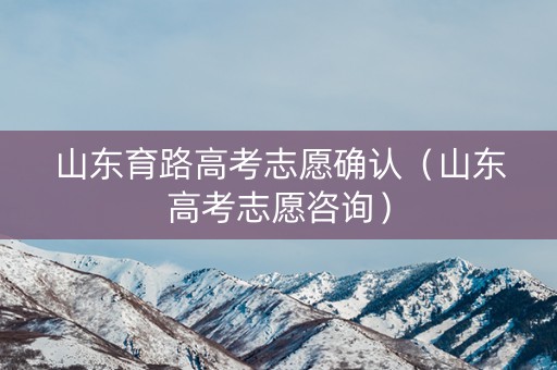 山东育路高考志愿确认（山东高考志愿咨询）