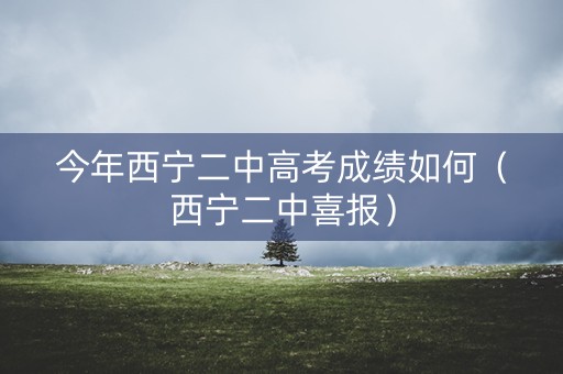 今年西宁二中高考成绩如何（西宁二中喜报）