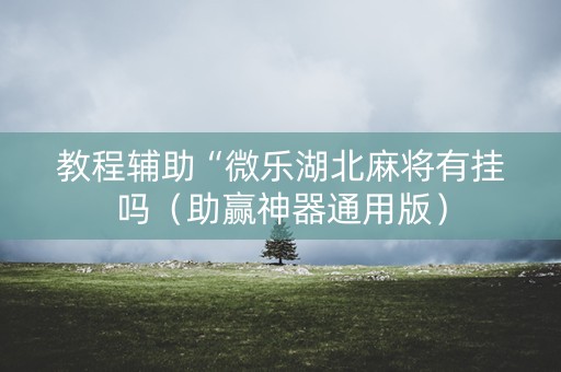 教程辅助“微乐湖北麻将有挂吗（助赢神器通用版）