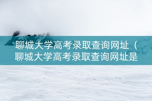 聊城大学高考录取查询网址（聊城大学高考录取查询网址是什么）