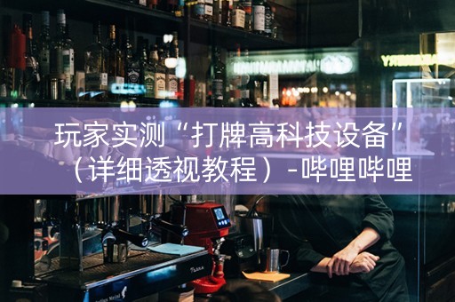 玩家实测“打牌高科技设备”（详细透视教程）-哔哩哔哩