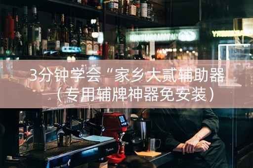3分钟学会“家乡大贰辅助器（专用辅牌神器免安装）