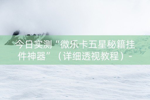 今日实测“微乐卡五星秘籍挂件神器”（详细透视教程）-哔哩哔哩