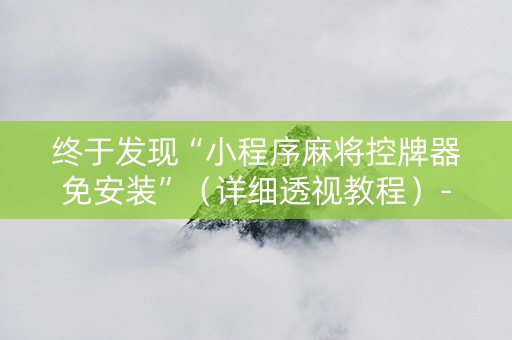 终于发现“小程序麻将控牌器免安装”（详细透视教程）-哔哩哔哩