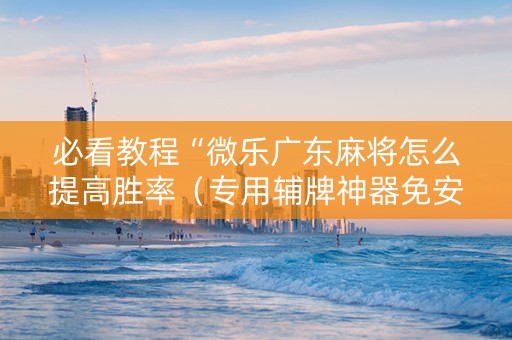 必看教程“微乐广东麻将怎么提高胜率（专用辅牌神器免安装）