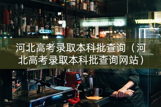 河北高考录取本科批查询（河北高考录取本科批查询网站）