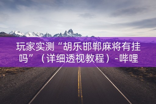 玩家实测“胡乐邯郸麻将有挂吗”（详细透视教程）-哔哩哔哩