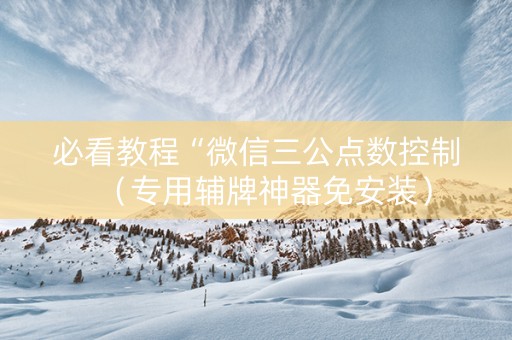 必看教程“微信三公点数控制（专用辅牌神器免安装）