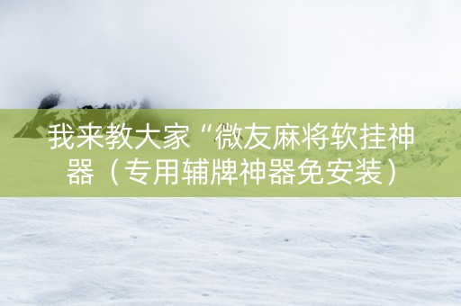 我来教大家“微友麻将软挂神器（专用辅牌神器免安装）