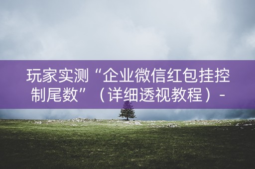 玩家实测“企业微信红包挂控制尾数”（详细透视教程）-哔哩哔哩