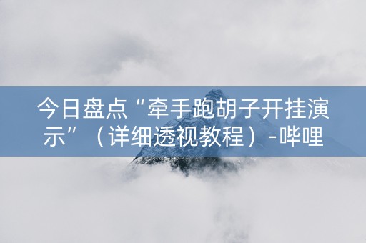 今日盘点“牵手跑胡子开挂演示”（详细透视教程）-哔哩哔哩