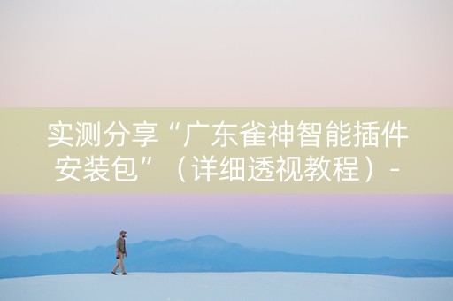 实测分享“广东雀神智能插件安装包”（详细透视教程）-哔哩哔哩